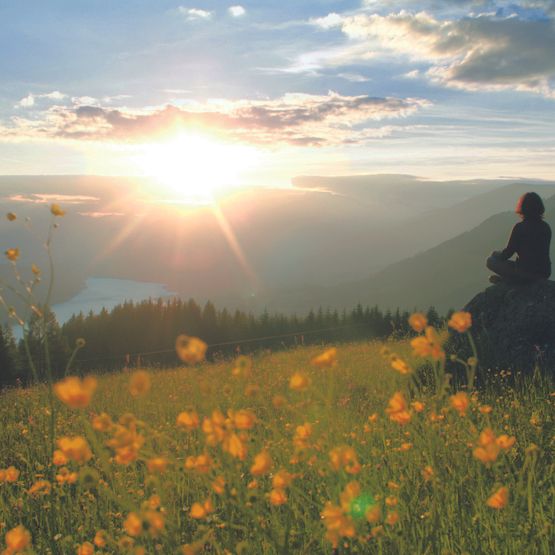 Wiese, See und Sonne