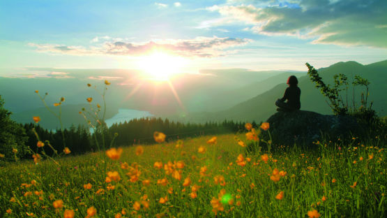 Wiese, See und Sonne
