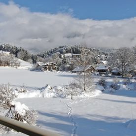 Blick in den Garten im Winter